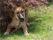 12) Duffy und sein Lieblingsplatz drausen 3